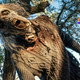 A very dry zombie man in a cable-knit sweater gapes at the camera in Fear the Walking Dead.